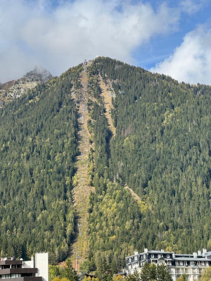 Cocon Au Coeur De Chamonix Avec Parking Gratuit Daire Dış mekan fotoğraf